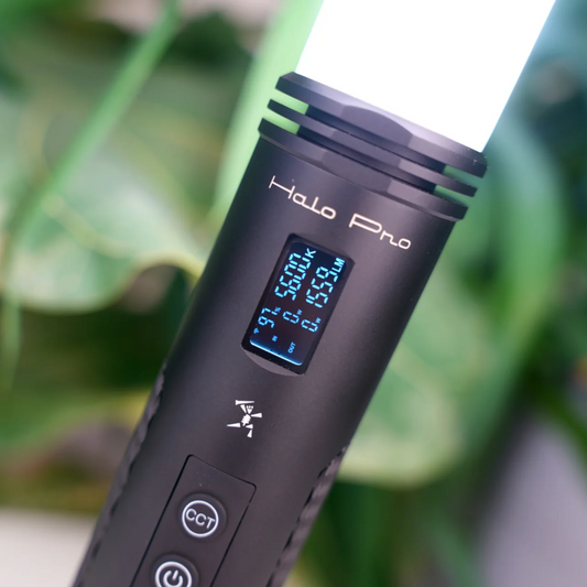 Bushman HALO PRO 360 LIGHT