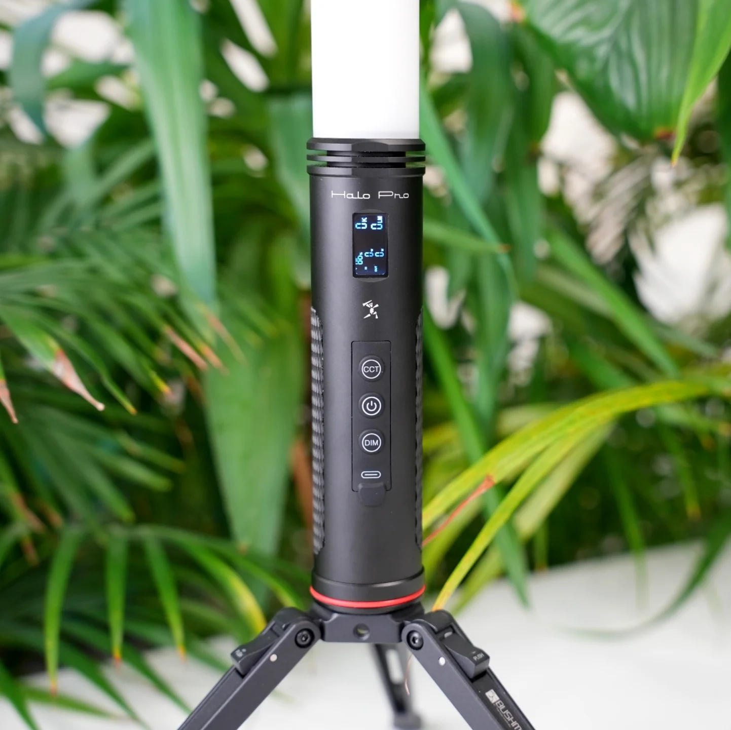 Bushman HALO PRO 360 LIGHT